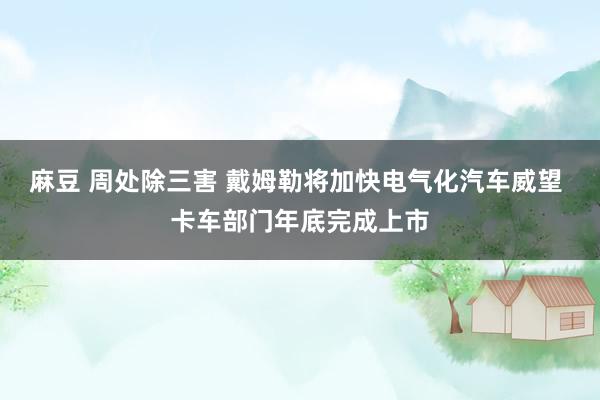 麻豆 周处除三害 戴姆勒将加快电气化汽车威望 卡车部门年底完成上市