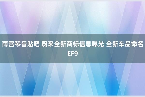 雨宫琴音贴吧 蔚来全新商标信息曝光 全新车品命名EF9