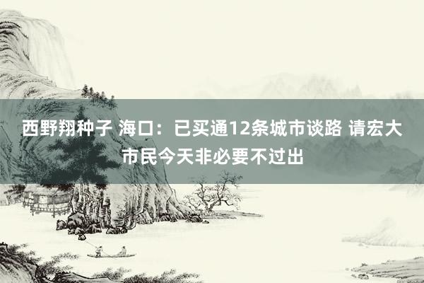 西野翔种子 海口：已买通12条城市谈路 请宏大市民今天非必要不过出