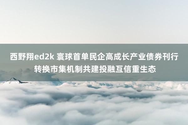 西野翔ed2k 寰球首单民企高成长产业债券刊行 转换市集机制共建投融互信重生态