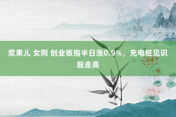 浆果儿 女同 创业板指半日涨0.9%，充电桩见识股走高