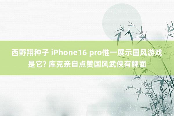 西野翔种子 iPhone16 pro惟一展示国风游戏是它? 库克亲自点赞国风武侠有牌面