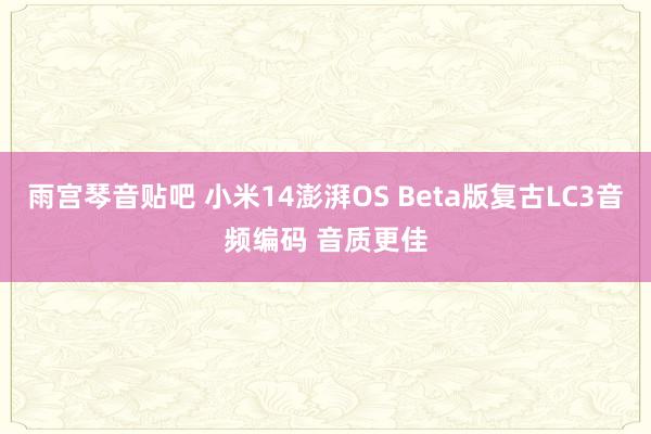 雨宫琴音贴吧 小米14澎湃OS Beta版复古LC3音频编码 音质更佳