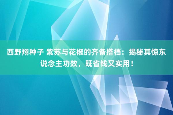 西野翔种子 紫苏与花椒的齐备搭档：揭秘其惊东说念主功效，既省钱又实用！