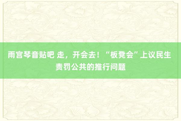 雨宫琴音贴吧 走，开会去！“板凳会”上议民生 责罚公共的推行问题