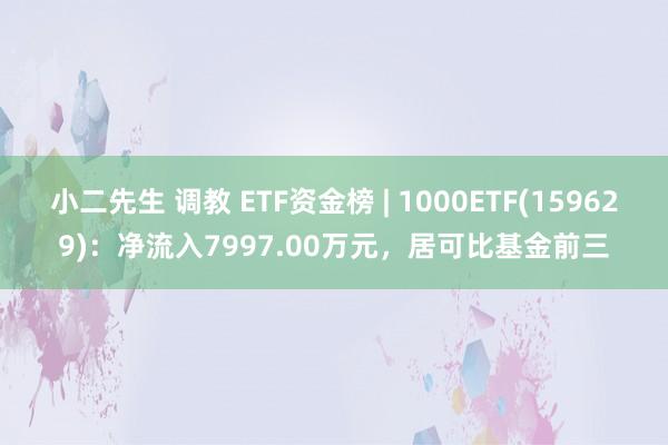 小二先生 调教 ETF资金榜 | 1000ETF(159629)：净流入7997.00万元，居可比基金前三