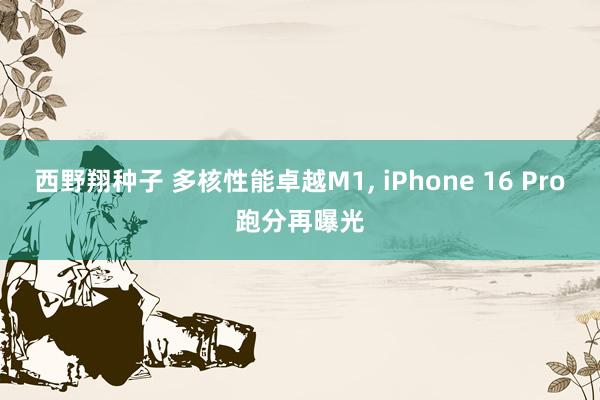 西野翔种子 多核性能卓越M1， iPhone 16 Pro跑分再曝光