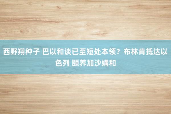 西野翔种子 巴以和谈已至短处本领？布林肯抵达以色列 颐养加沙媾和