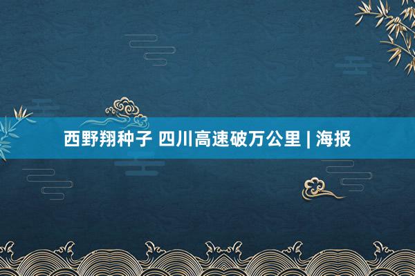 西野翔种子 四川高速破万公里 | 海报