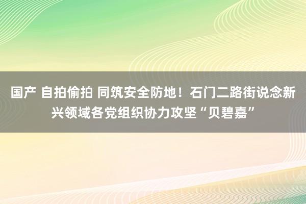 国产 自拍偷拍 同筑安全防地！石门二路街说念新兴领域各党组织协力攻坚“贝碧嘉”