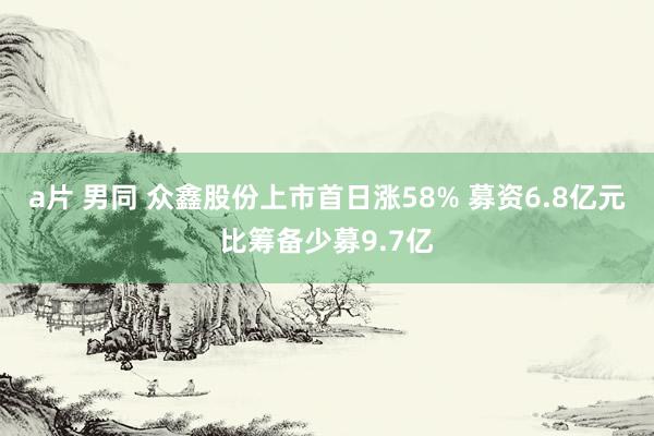 a片 男同 众鑫股份上市首日涨58% 募资6.8亿元比筹备少募9.7亿