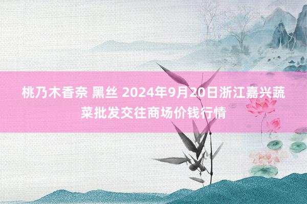 桃乃木香奈 黑丝 2024年9月20日浙江嘉兴蔬菜批发交往商场价钱行情