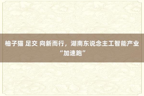 柚子猫 足交 向新而行，湖南东说念主工智能产业“加速跑”