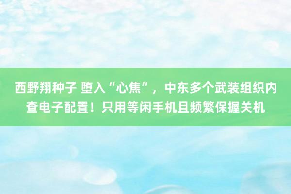 西野翔种子 堕入“心焦”，中东多个武装组织内查电子配置！只用等闲手机且频繁保握关机