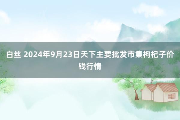 白丝 2024年9月23日天下主要批发市集枸杞子价钱行情