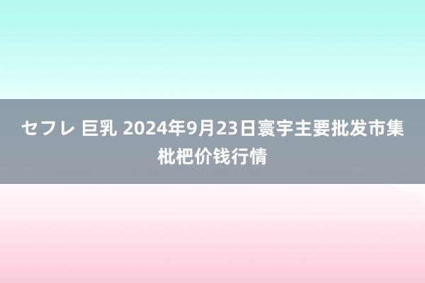 セフレ 巨乳 2024年9月23日寰宇主要批发市集枇杷价钱行情