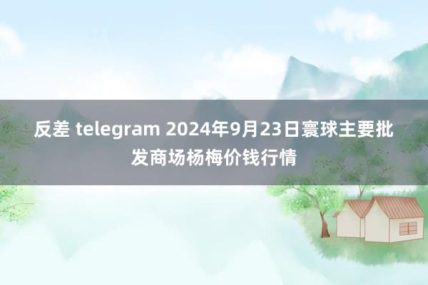 反差 telegram 2024年9月23日寰球主要批发商场杨梅价钱行情