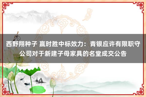 西野翔种子 赢时胜中标效力：青银应许有限职守公司对于新建子母家具的名堂成交公告