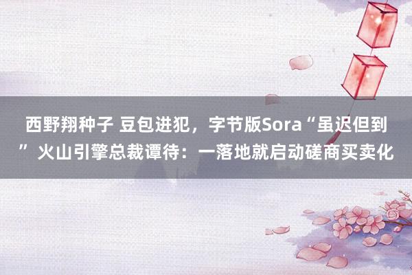 西野翔种子 豆包进犯，字节版Sora“虽迟但到” 火山引擎总裁谭待：一落地就启动磋商买卖化