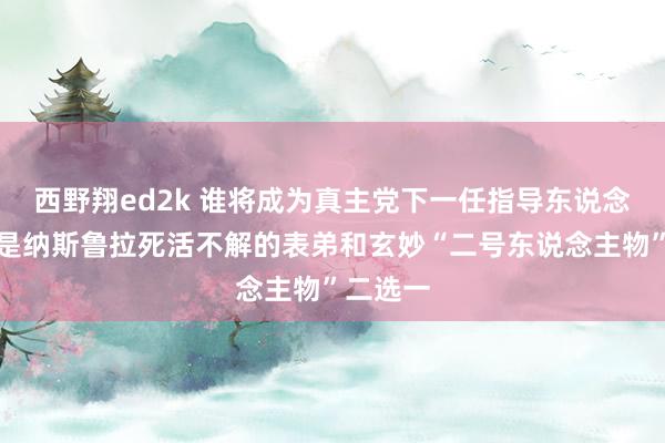 西野翔ed2k 谁将成为真主党下一任指导东说念主？或是纳斯鲁拉死活不解的表弟和玄妙“二号东说念主物”二选一