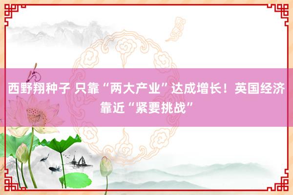 西野翔种子 只靠“两大产业”达成增长！英国经济靠近“紧要挑战”