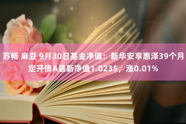 苏畅 麻豆 9月30日基金净值：新华安享惠泽39个月定开债A最新净值1.0235，涨0.01%