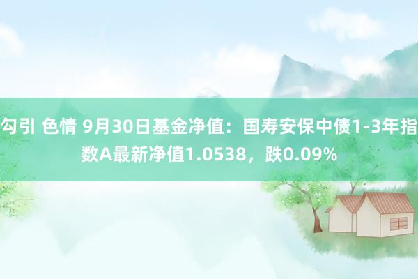 勾引 色情 9月30日基金净值：国寿安保中债1-3年指数A最新净值1.0538，跌0.09%