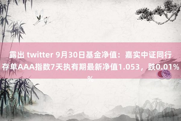 露出 twitter 9月30日基金净值：嘉实中证同行存单AAA指数7天执有期最新净值1.053，跌0.01%