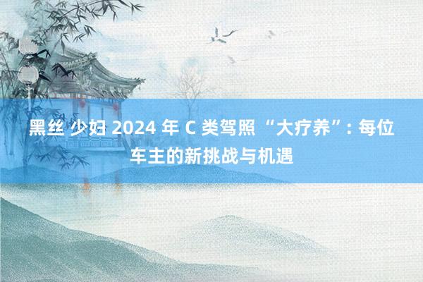 黑丝 少妇 2024 年 C 类驾照 “大疗养”: 每位车主的新挑战与机遇