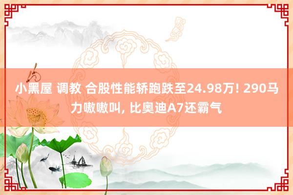 小黑屋 调教 合股性能轿跑跌至24.98万! 290马力嗷嗷叫， 比奥迪A7还霸气