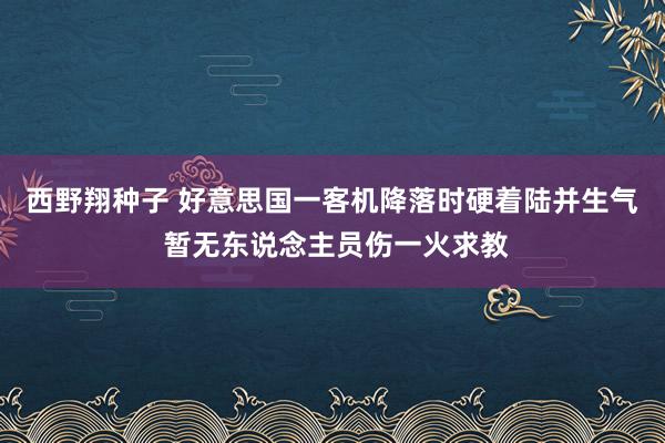 西野翔种子 好意思国一客机降落时硬着陆并生气 暂无东说念主员伤一火求教