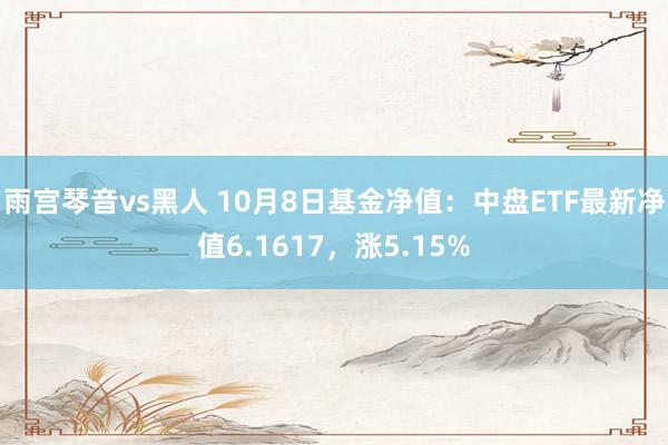 雨宫琴音vs黑人 10月8日基金净值：中盘ETF最新净值6.1617，涨5.15%