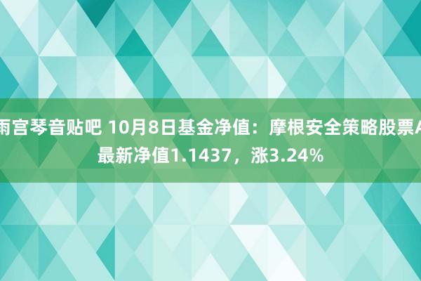 雨宫琴音贴吧 10月8日基金净值：摩根安全策略股票A最新净值1.1437，涨3.24%