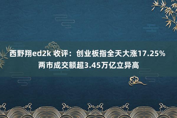 西野翔ed2k 收评：创业板指全天大涨17.25% 两市成交额超3.45万亿立异高