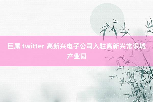 巨屌 twitter 高新兴电子公司入驻高新兴常识城产业园