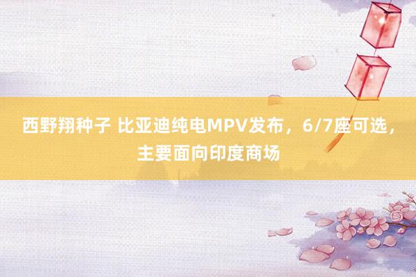 西野翔种子 比亚迪纯电MPV发布，6/7座可选，主要面向印度商场