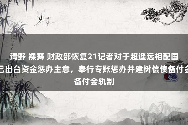 清野 裸舞 财政部恢复21记者对于超遥远相配国债：已出台资金惩办主意，奉行专账惩办并建树偿债备付金轨制