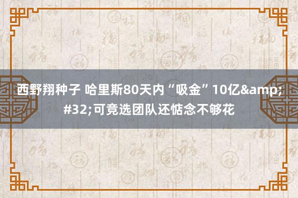 西野翔种子 哈里斯80天内“吸金”10亿&#32;可竞选团队还惦念不够花