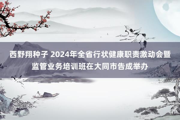 西野翔种子 2024年全省行状健康职责激动会暨监管业务培训班在大同市告成举办