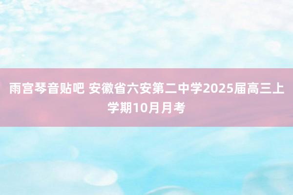 雨宫琴音贴吧 安徽省六安第二中学2025届高三上学期10月月考