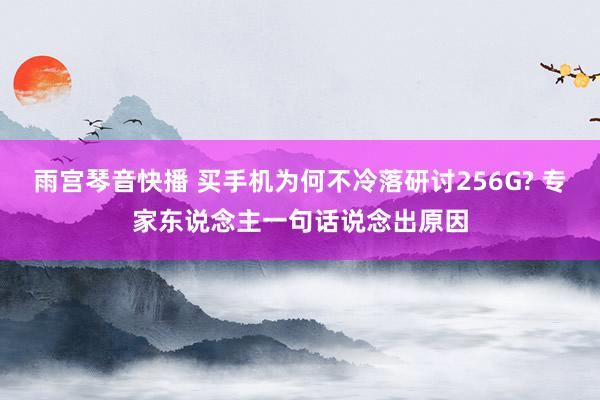 雨宫琴音快播 买手机为何不冷落研讨256G? 专家东说念主一句话说念出原因