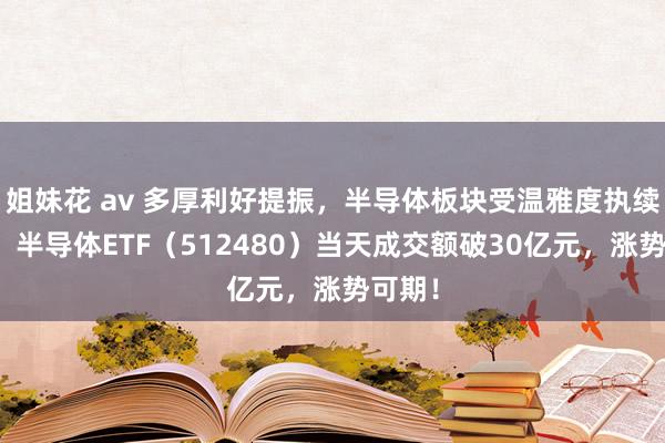 姐妹花 av 多厚利好提振，半导体板块受温雅度执续升迁！半导体ETF（512480）当天成交额破30亿元，涨势可期！