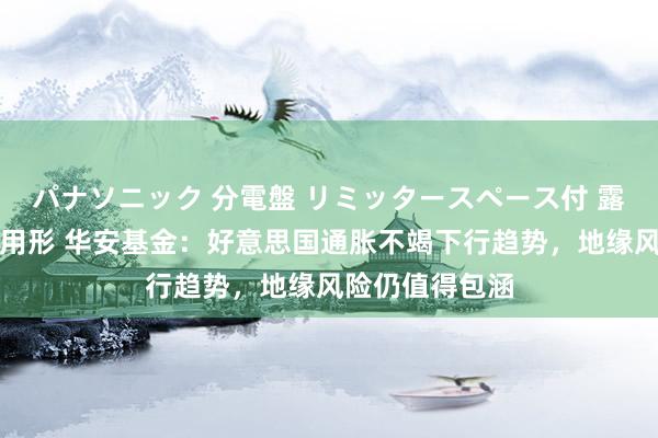 パナソニック 分電盤 リミッタースペース付 露出・半埋込両用形 华安基金：好意思国通胀不竭下行趋势，地缘风险仍值得包涵