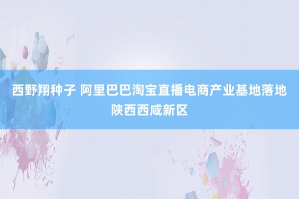 西野翔种子 阿里巴巴淘宝直播电商产业基地落地陕西西咸新区