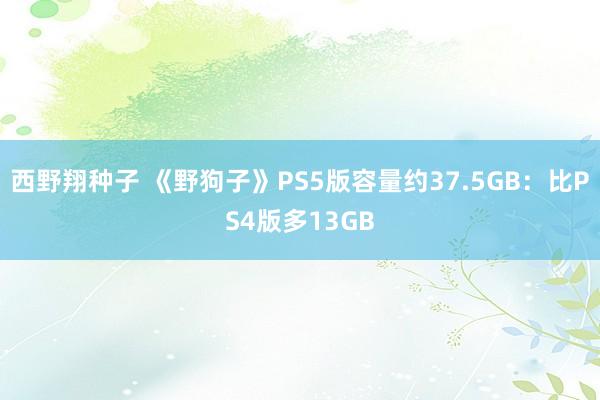 西野翔种子 《野狗子》PS5版容量约37.5GB：比PS4版多13GB