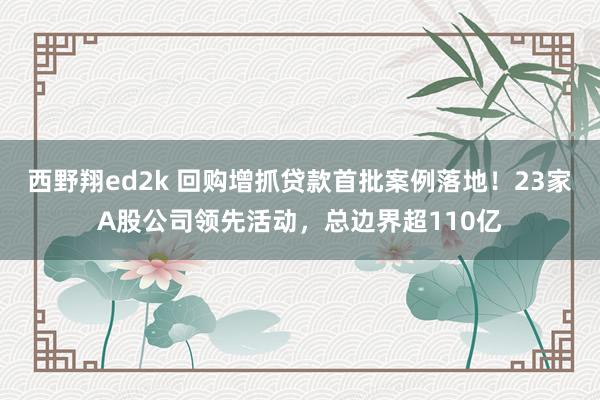 西野翔ed2k 回购增抓贷款首批案例落地！23家A股公司领先活动，总边界超110亿