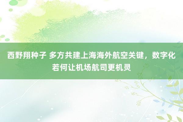 西野翔种子 多方共建上海海外航空关键，数字化若何让机场航司更机灵