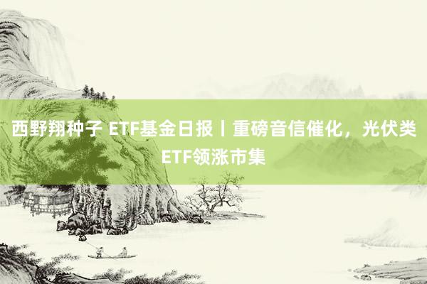 西野翔种子 ETF基金日报丨重磅音信催化，光伏类ETF领涨市集