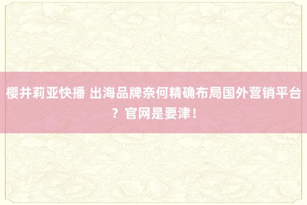 樱井莉亚快播 出海品牌奈何精确布局国外营销平台？官网是要津！