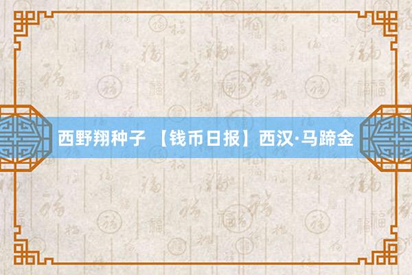 西野翔种子 【钱币日报】西汉·马蹄金